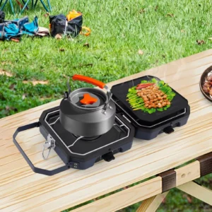 2 Burners Portable Camping Gas Stove